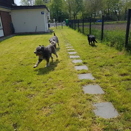 Szálloda Am Schlosspark Herten