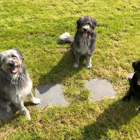 Am Schlosspark 3* Herten