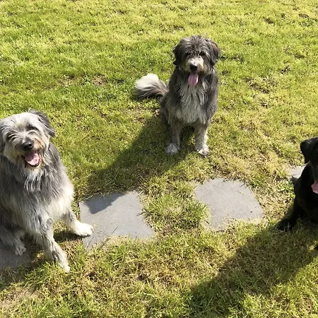 Akzent Am Schlosspark Herten (North Rhine-Westphalia)