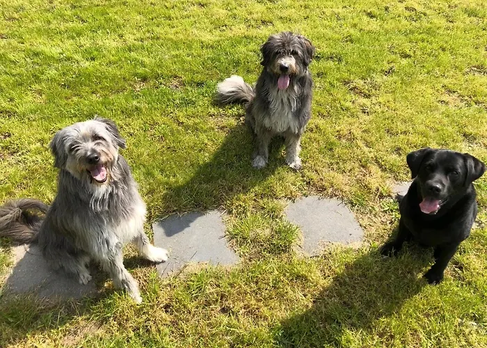 Am Schlosspark 3* Herten (North Rhine-Westphalia)