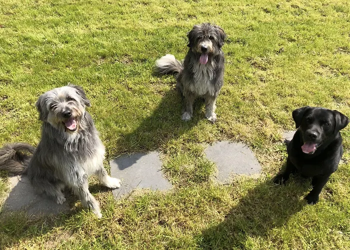 Am Schlosspark Herten (North Rhine-Westphalia)