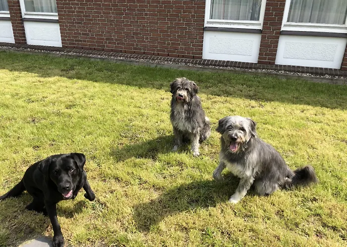 Akzent Am Schlosspark 3*