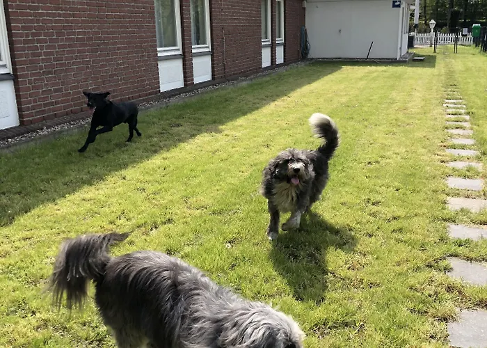 Hotel Am Schlosspark